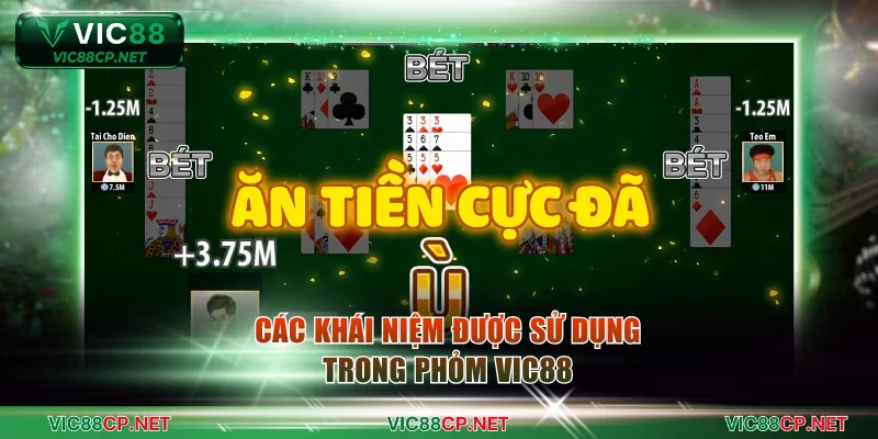 Các khái niệm được sử dụng trong phỏm VIC88