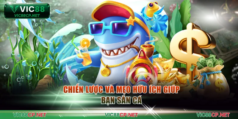 Chiến lược và mẹo hữu ích giúp bạn săn cá