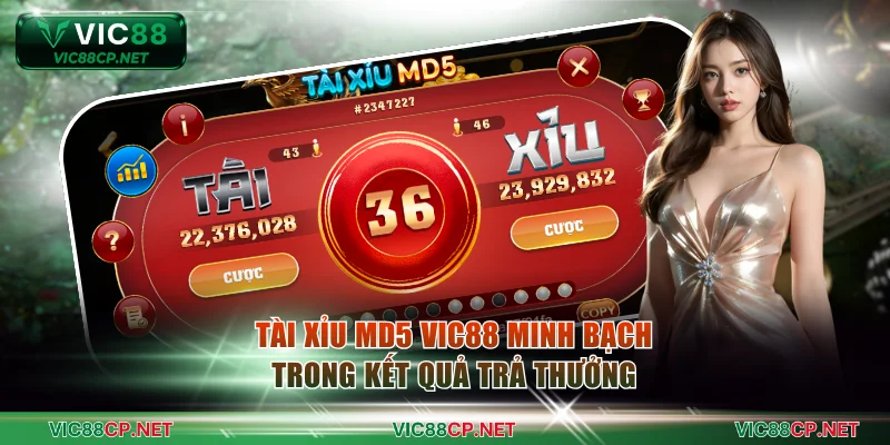 Tài xỉu MD5 VIC88 phù hợp với người đề cao tính minh bạch