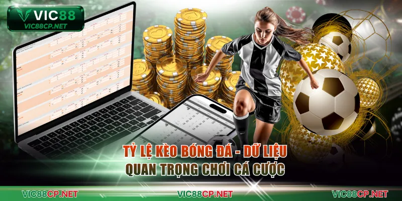 Tỷ lệ kèo bóng đá - Dữ liệu quan trọng chơi cá cược